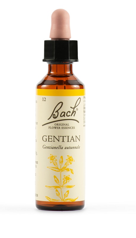 GENTIAN BACH ORIG 20 ML - farmachicca