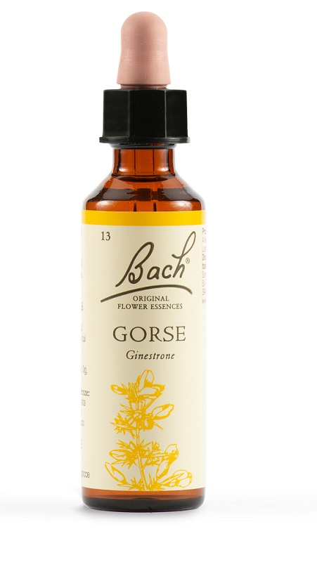 GORSE BACH ORIG 20 ML - farmachicca