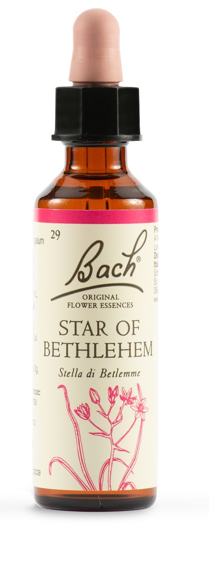 STAR OF BETHL ORIG 20 ML - farmachicca