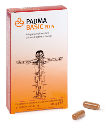 PADMA BASIC PLUS 40 CAPSULE - farmachicca