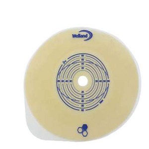 PLACCA PIANA AURUM 2 45MM RITAGLIABILE 5 PEZZI - farmachicca