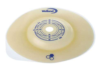 PLACCA CONVESSA AURUM 2 55MM RITAGLIABILE 5 PEZZI - farmachicca