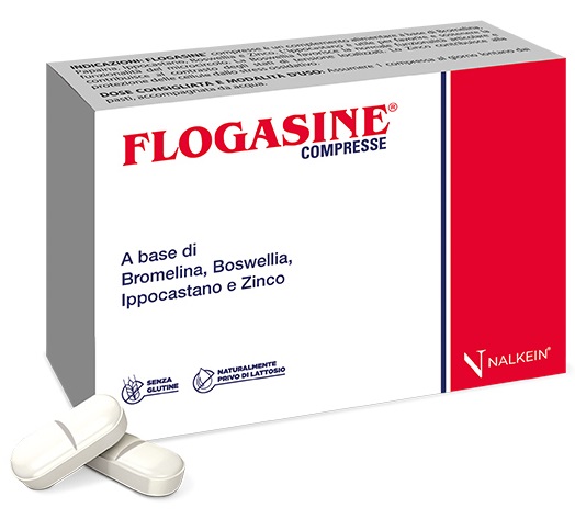 FLOGASINE 20 COMPRESSE - farmachicca