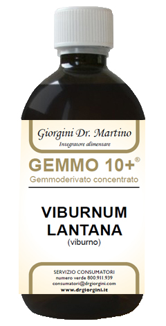 VIBURNO LIQUIDO ANALCOLICO GEMMO 10+ 500 ML - farmachicca