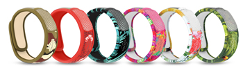 PARAKITO EFAS BRACCIALETTO GRAFFIC JUNGLE PLUS - farmachicca
