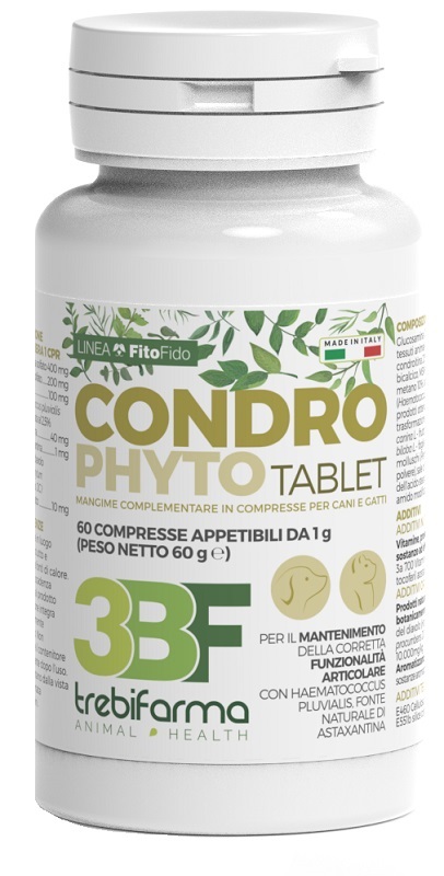 CONDROPHYTO 60 COMPRESSE DA 1 G - farmachicca