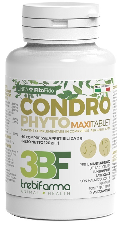 CONDROPHYTO 60 COMPRESSE 2 G - farmachicca