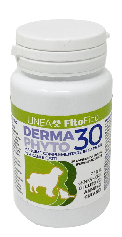 DERMAPHYTO 30 CAPSULE - farmachicca