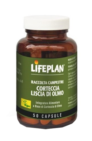 CORTECCIA LISCIA DI OLMO 50 CAPSULE - farmachicca
