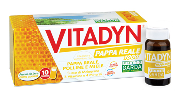 VITADYN PAPPA REALE 1000 10 FLACONCINI 10 ML - farmachicca