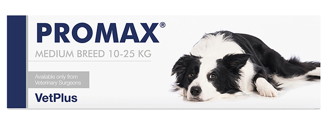 PROMAX MEDIUM BREED 18 ML - farmachicca