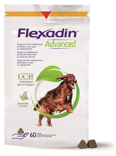 FLEXADIN ADVANCED 60 TAVOLETTE APPETIBILI MASTICABILI PER CANI - farmachicca