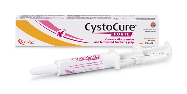 CYSTOCURE FORTE PASTA 15 ML - farmachicca