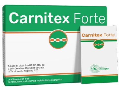 CARNITEX FORTE 14 BUSTINE - farmachicca